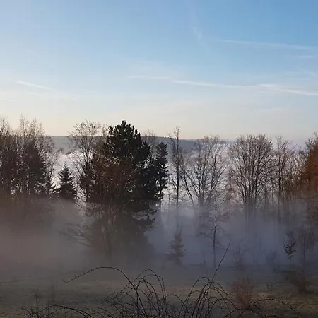Ausblick Maisenbach Bad Liebenzell