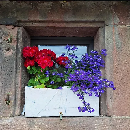 Ausblick Maisenbach Talstrasse * Bad Liebenzell
