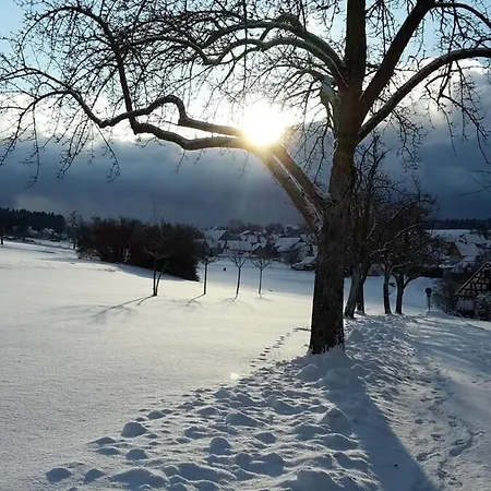 Ausblick Maisenbach Talstrasse 아파트 바드리에벤젤